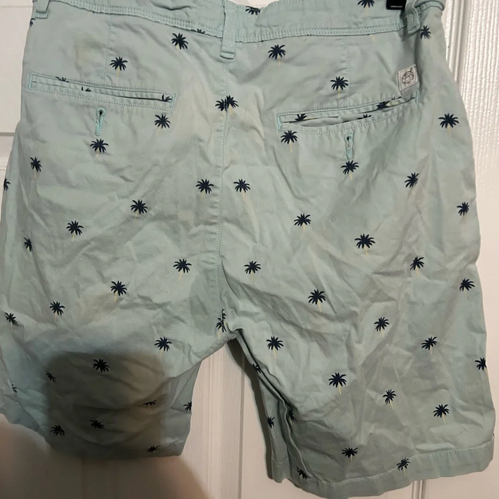 Free Planet‎ Light Blue Palm Print Shorts